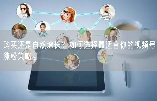 购买还是自然增长?如何选择最适合你的视频号涨粉策略。