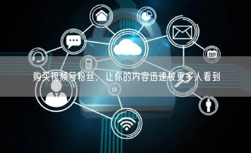 购买视频号粉丝,让你的内容迅速被更多人看到