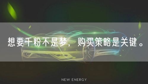 想要千粉不是梦,购买策略是关键。