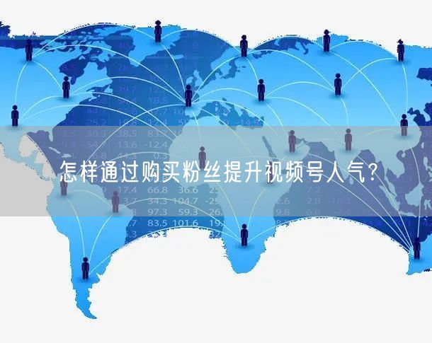 怎样通过购买粉丝提升视频号人气?