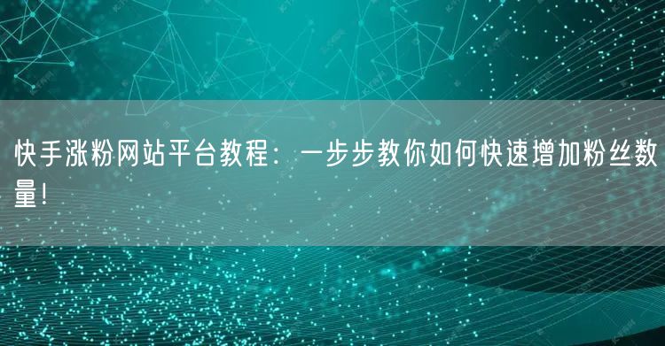 快手涨粉网站平台教程：一步步教你如何快速增加粉丝数量！