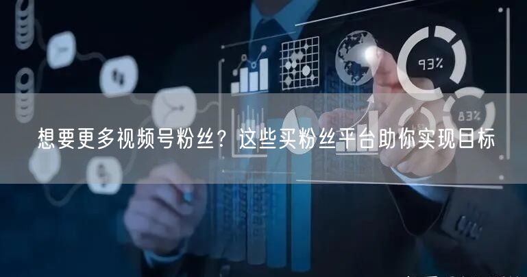 想要更多视频号粉丝?这些买粉丝平台助你实现目标