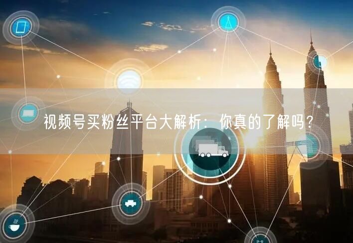 视频号买粉丝平台大解析:你真的了解吗?
