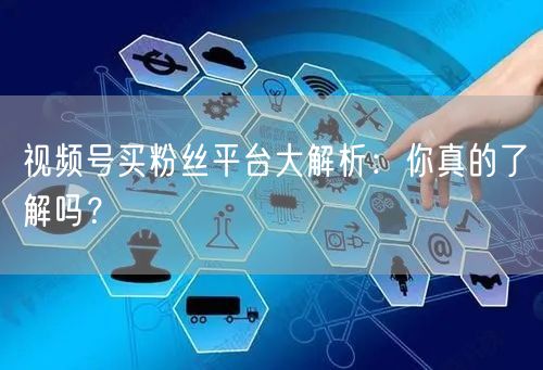 视频号买粉丝平台大解析:你真的了解吗?