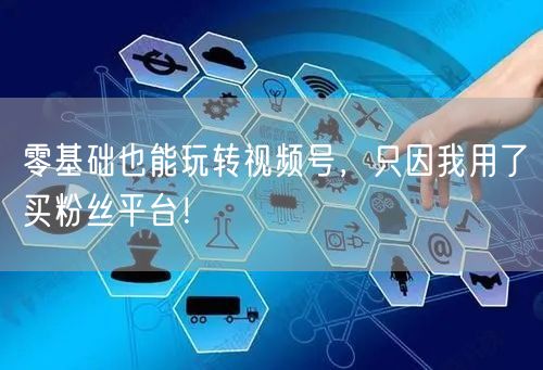 零基础也能玩转视频号,只因我用了买粉丝平台!