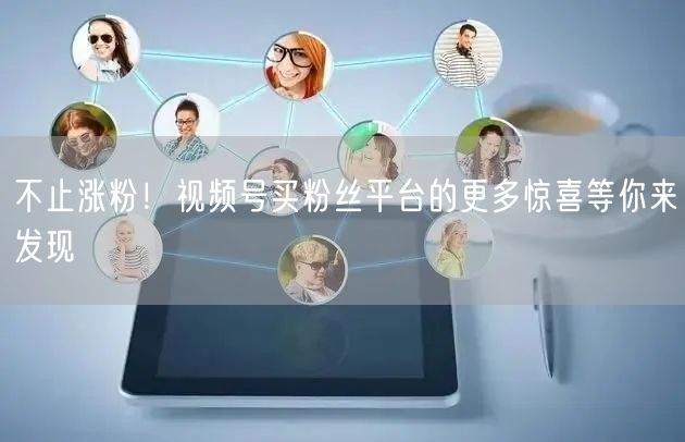 不止涨粉!视频号买粉丝平台的更多惊喜等你来发现