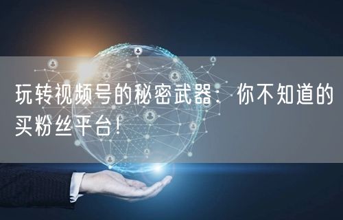 玩转视频号的秘密武器:你不知道的买粉丝平台!