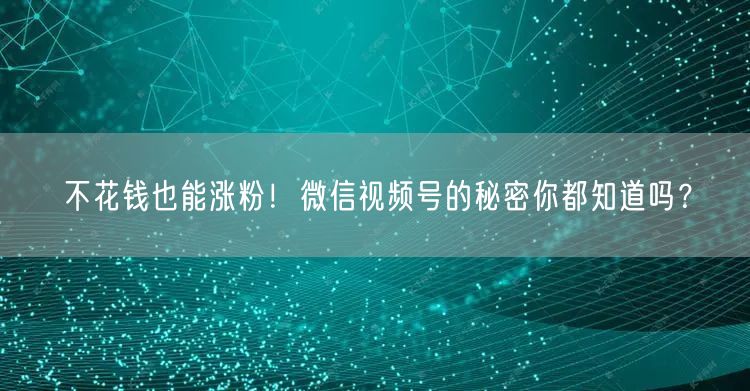不花钱也能涨粉！微信视频号的秘密你都知道吗？