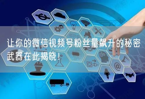 让你的微信视频号粉丝量飙升的秘密武器在此揭晓!